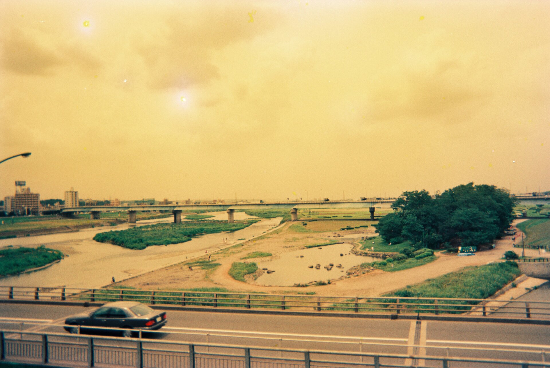 Bridge spanning wetland area with natural beauty