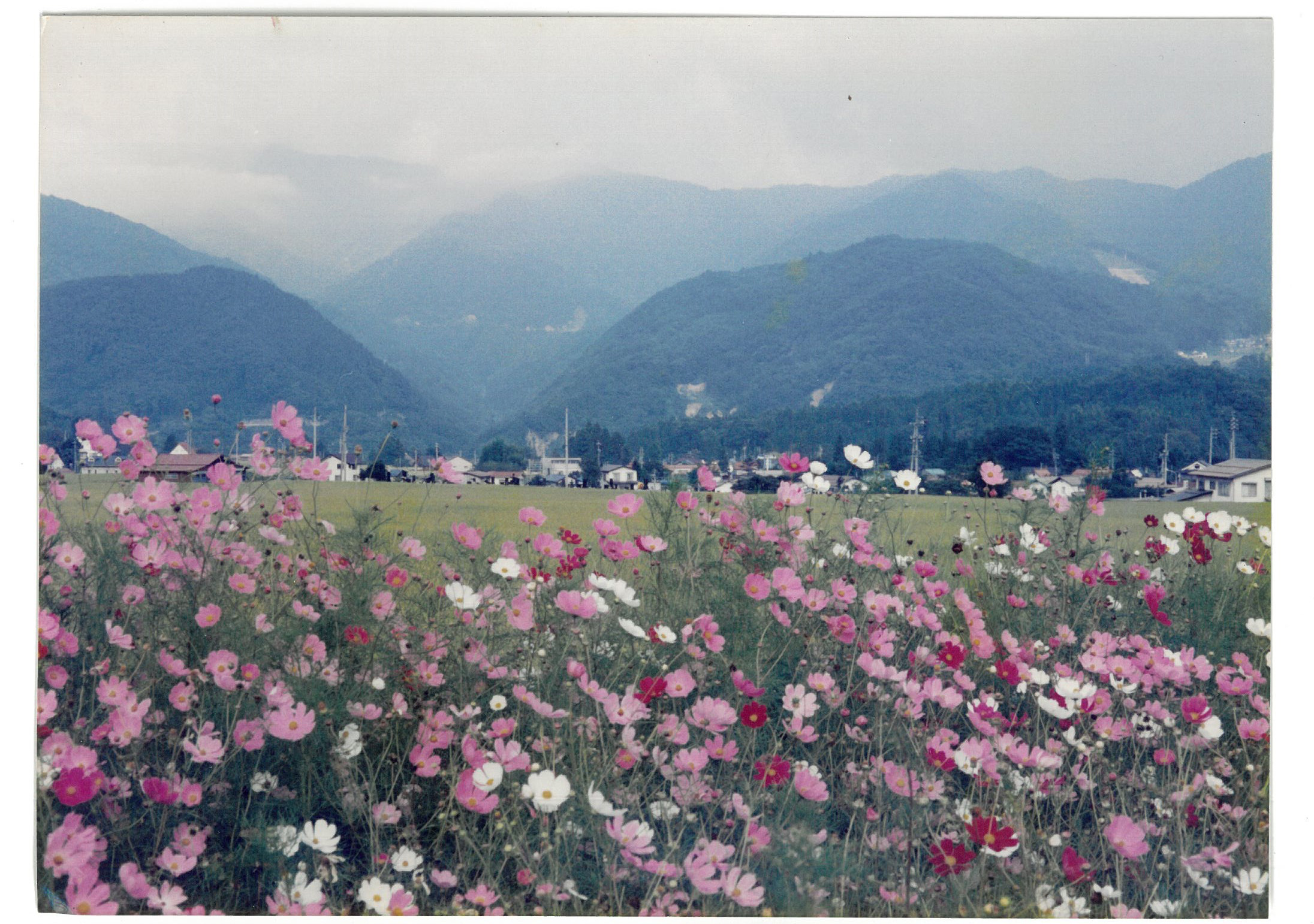 Mount Fuji Image 8
