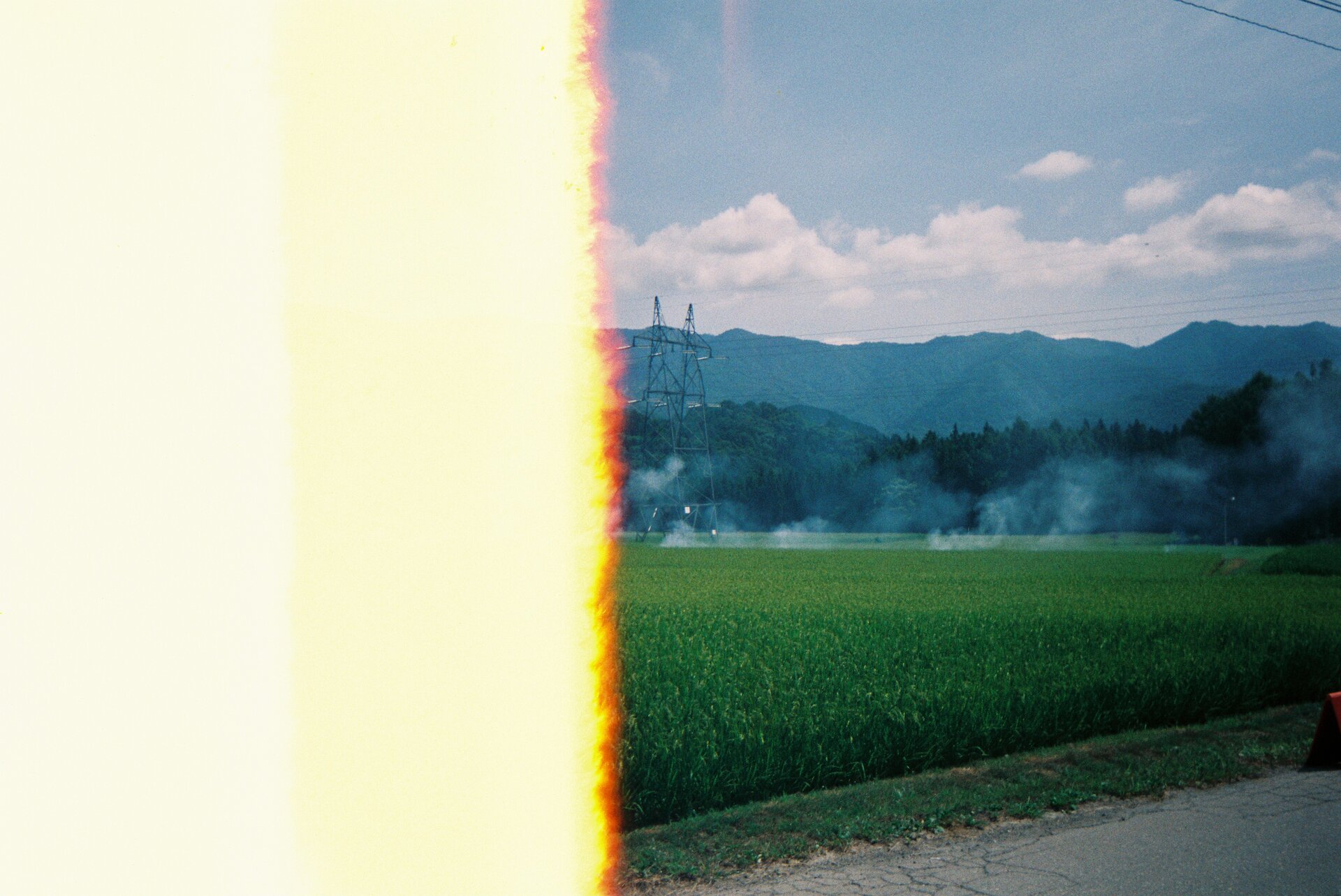 Morning agriculture plantation