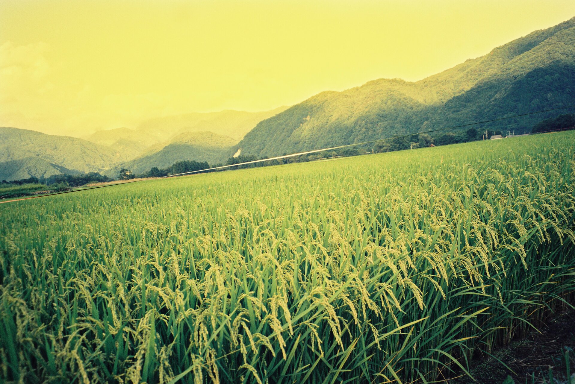 Green mountainous terrain with lush grass and natural beauty