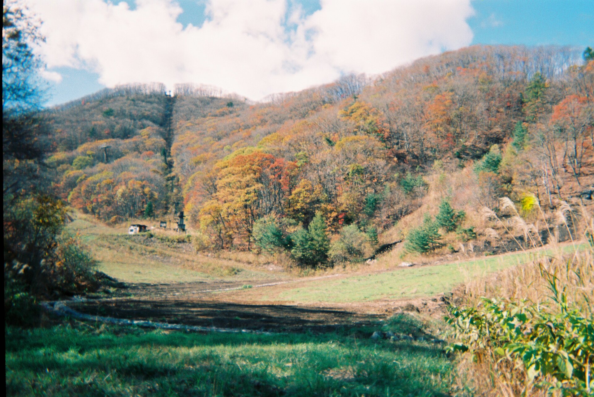 Mountainous terrain with natural leaf formations