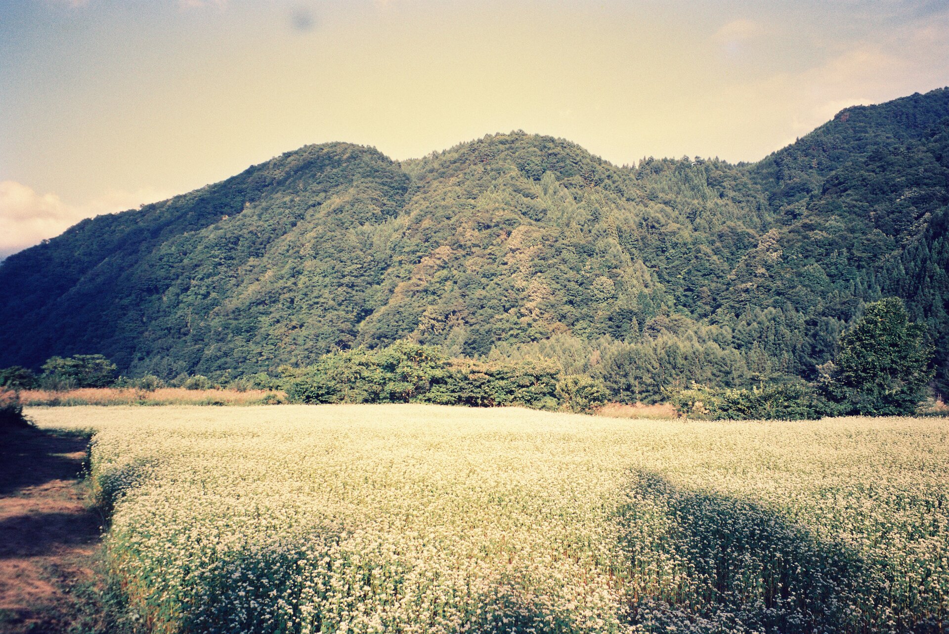 Mountainous landforms mountain hill
