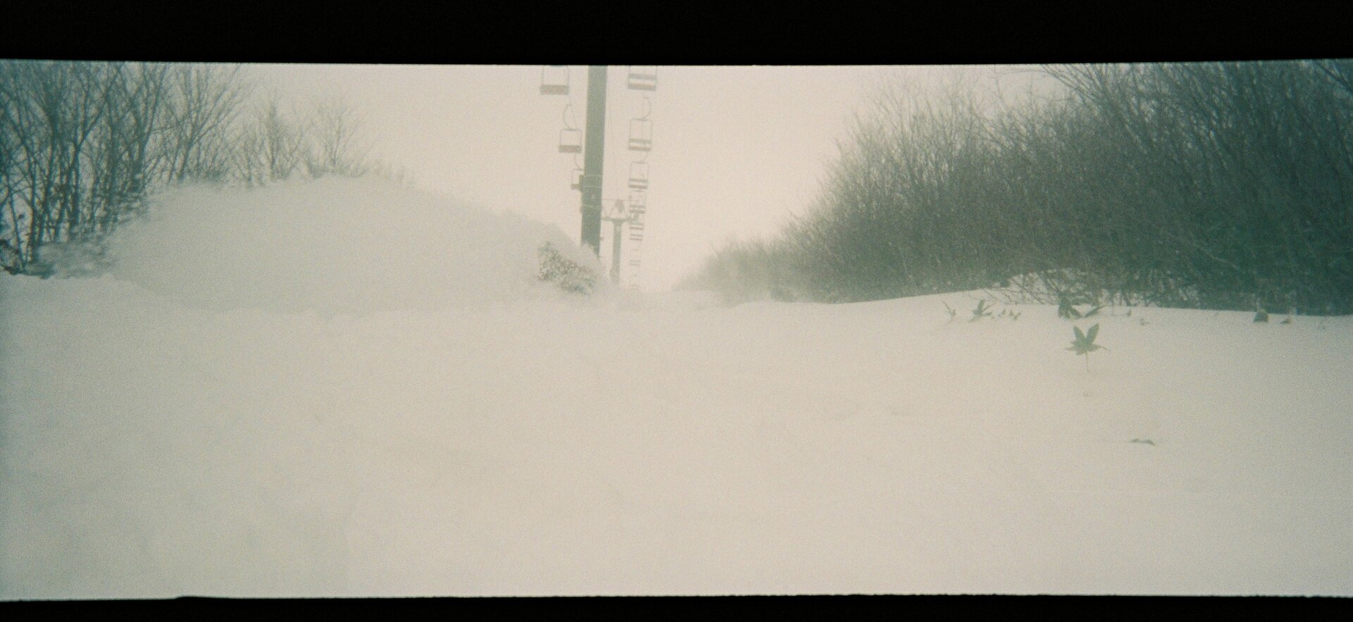 White atmospheric phenomenon winter