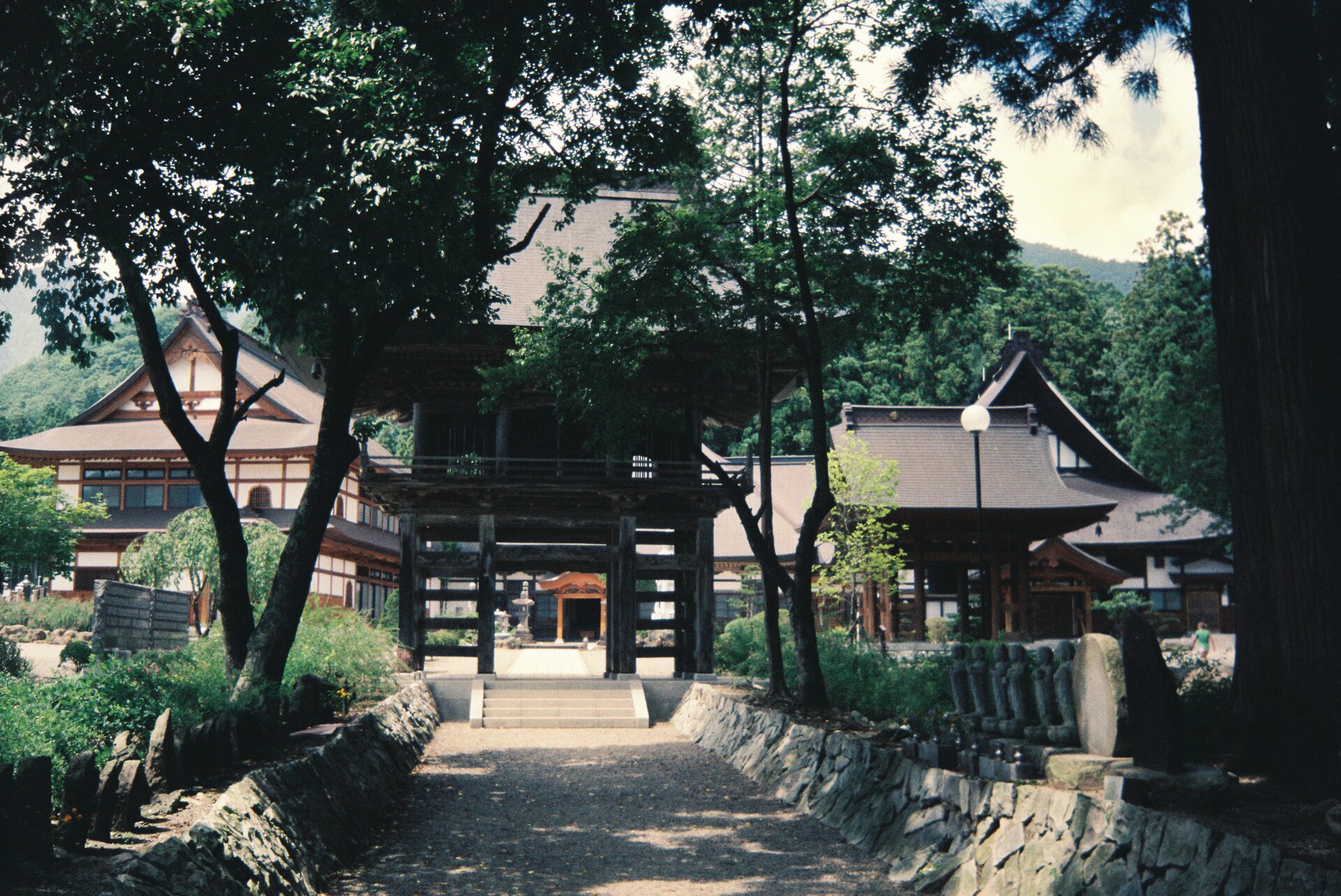 Wood architecture spring