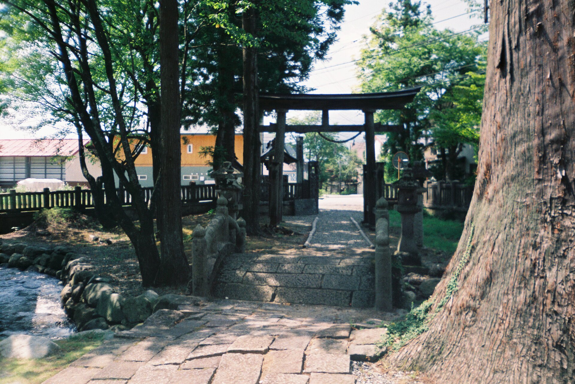 Wood shade torii