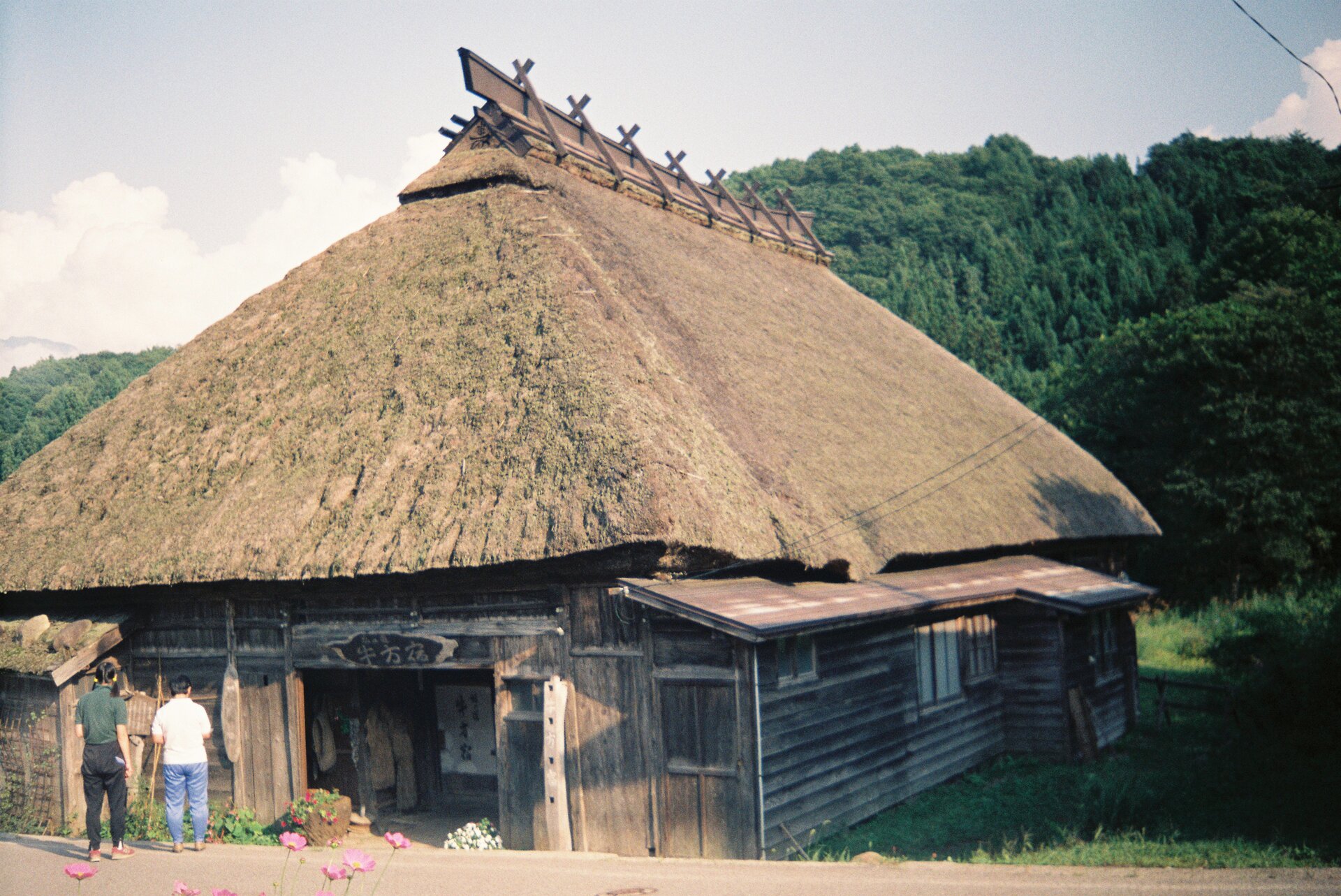 Wood thatching hut